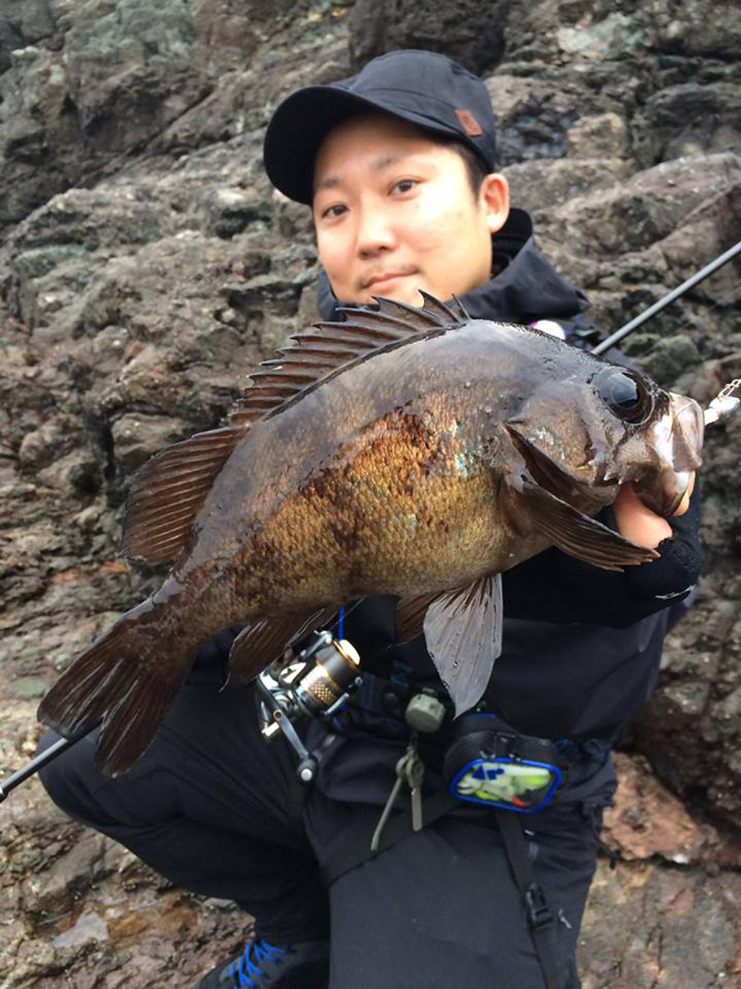男鹿磯メバル釣果