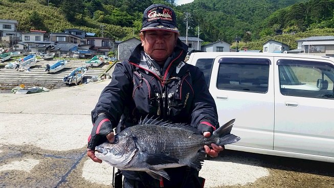 6月5日男鹿市加茂沖磯釣果1