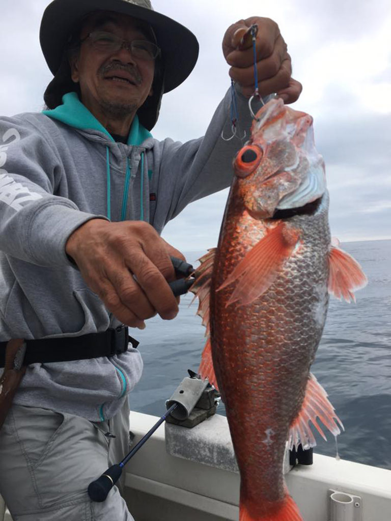 鰺ヶ沢アカムツ釣果