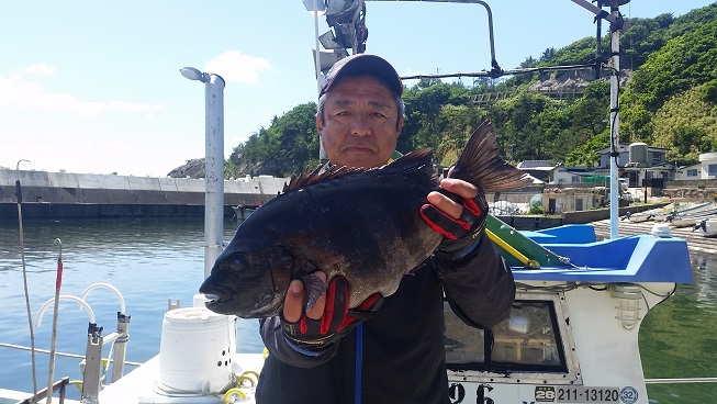 6月14日男鹿市加茂沖磯釣果1