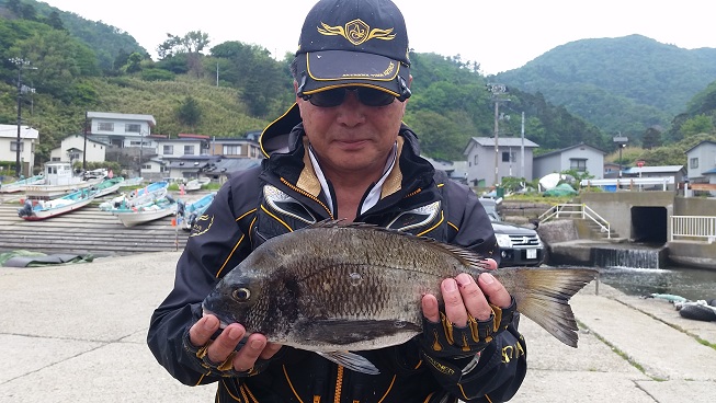 5月31日男鹿市加茂沖磯釣果1