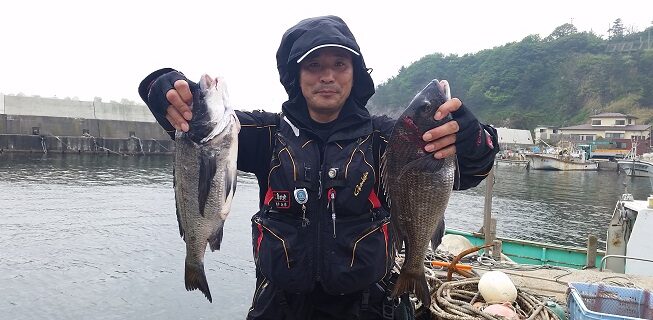 5月30日男鹿市加茂沖磯釣果3