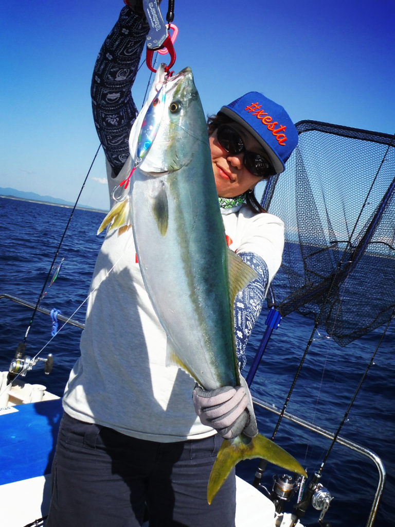 XESTA(ゼスタ)フラップ マダイ・青物2