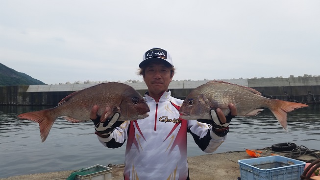 6月18日男鹿市加茂沖磯釣果2