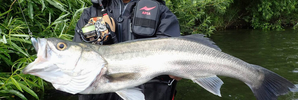 ポジドライブガレージ レッド中村