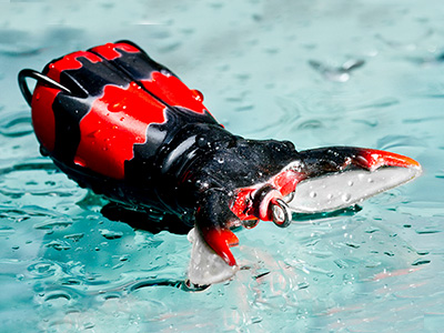 Molix(モリックス) ス－ペルナートビートルベビー