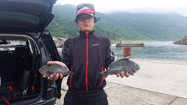 6月22日男鹿市加茂沖磯釣果1