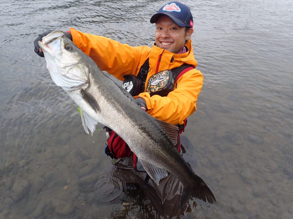 秋田県米代川シーバスダービー1
