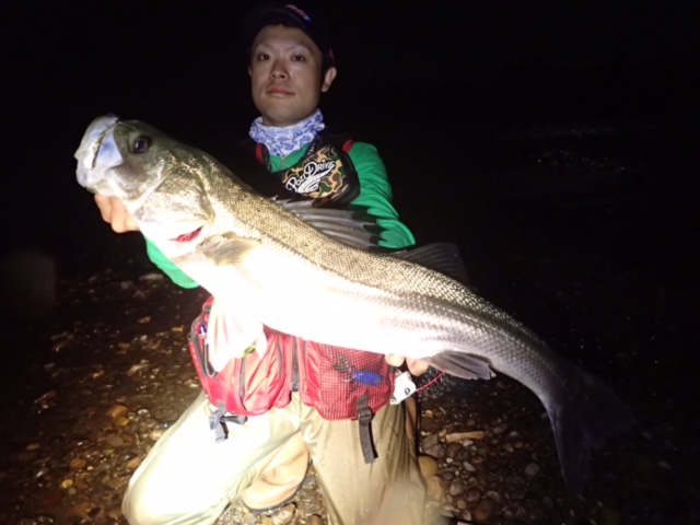 秋田県米代川シーバスダービー1