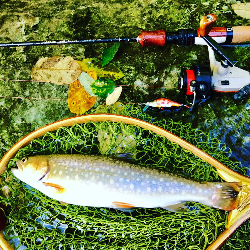 秋田県大館市長木川 岩魚