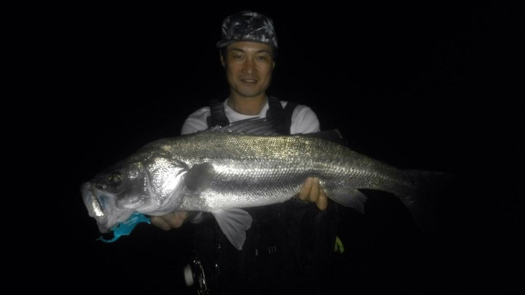 秋田県米代川シーバスダービー1