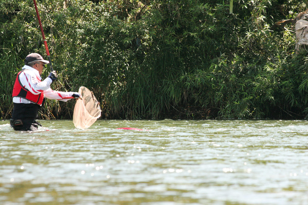 鮎釣り大会4