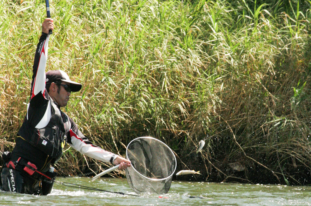 鮎釣り大会5