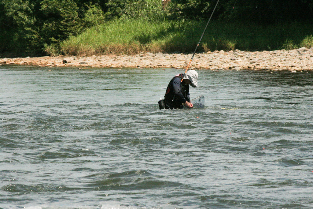 鮎釣り大会13