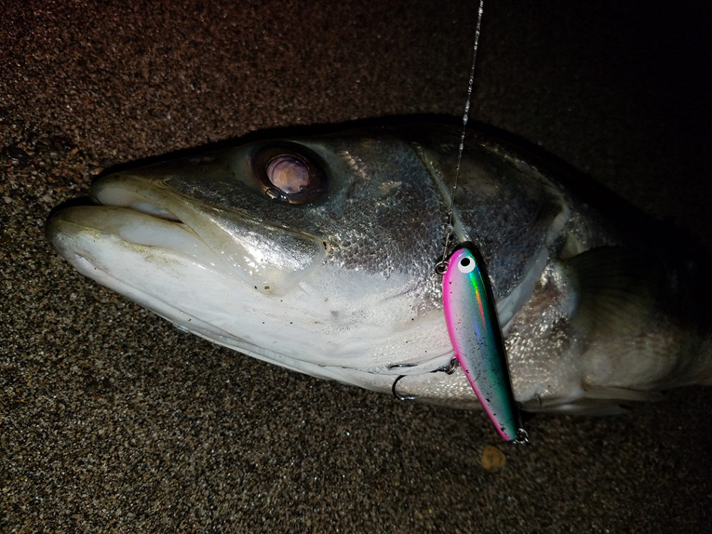 ポジドライブガレージ『フラットフラッター95S』2