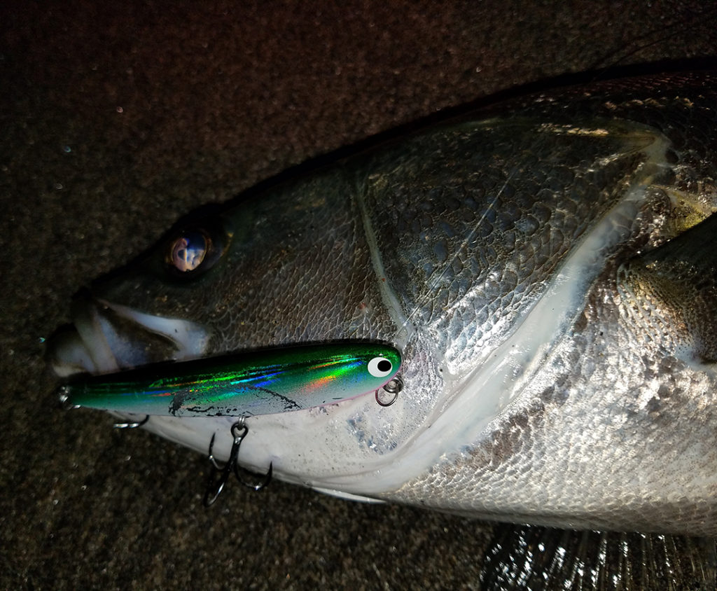 ポジドライブガレージ『フラットフラッター95S』4