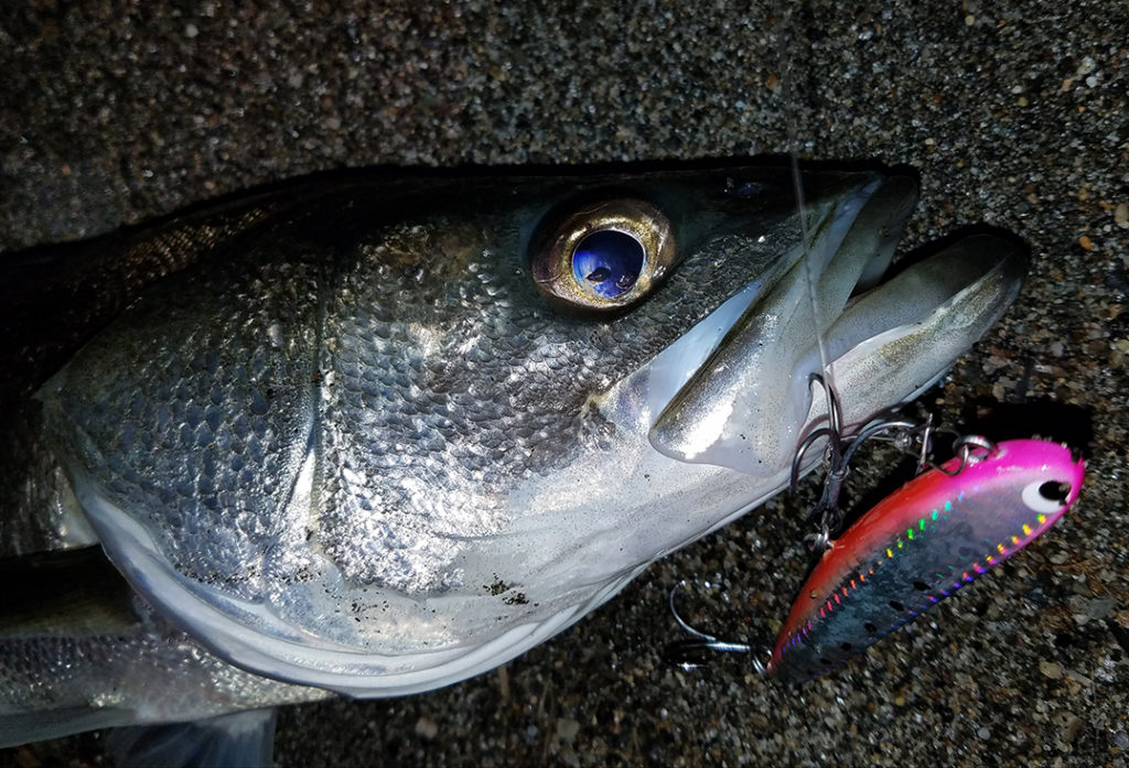 ポジドライブガレージ『フラットフラッター95S』3