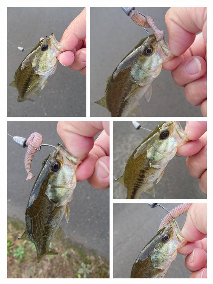 ゲーリーヤマモト レッグワーム