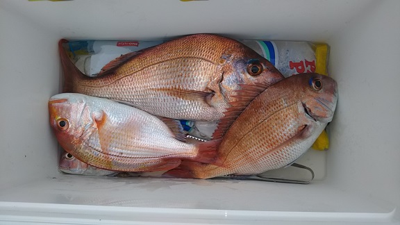 男鹿加茂 政運丸8