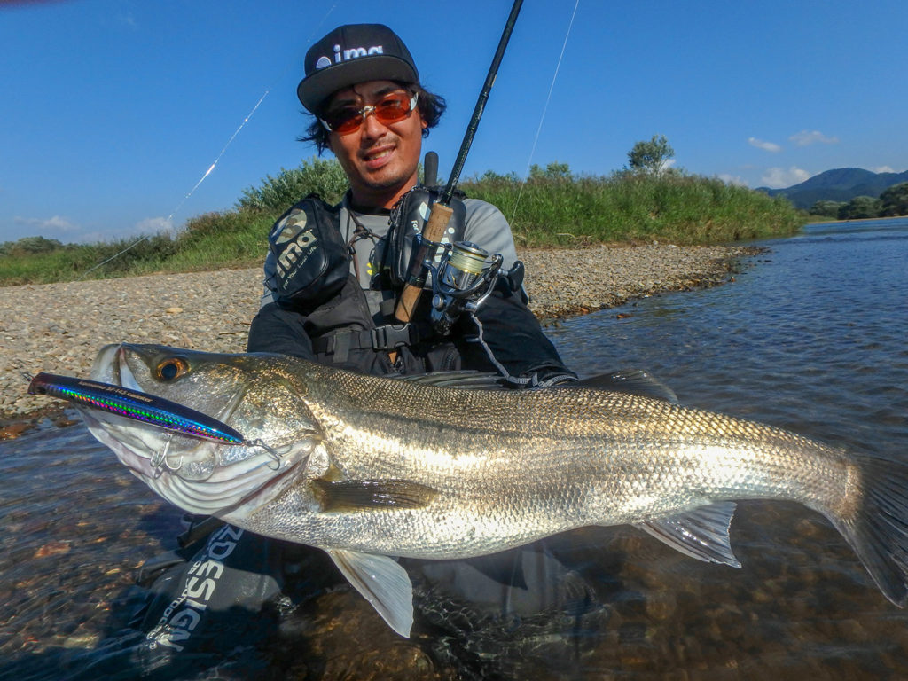 アムズデザイン