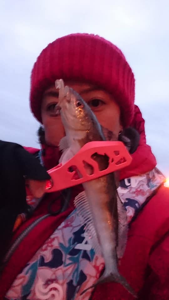 3月4日ローソクホッケ