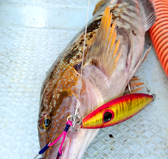 鯵ヶ沢アイナメ釣り